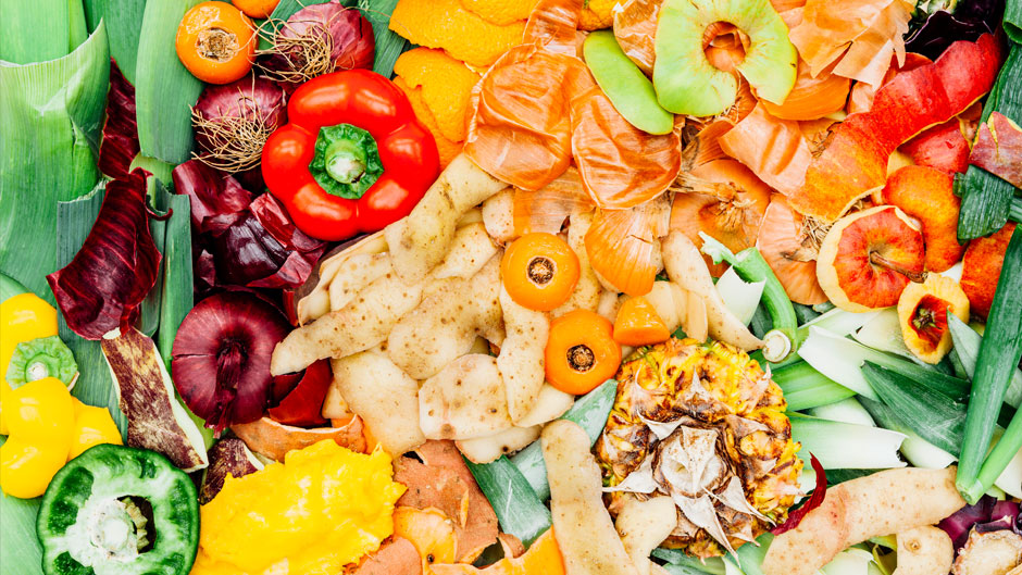 Food Waste Management and Treatment icon