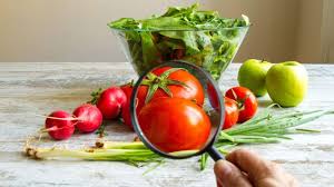 Food Safety Risk Analysis icon