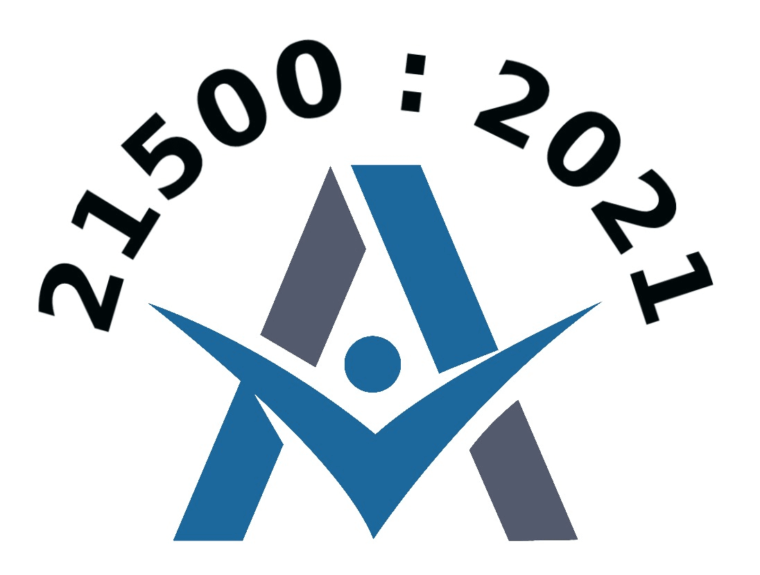 ISO 21500:2021 ( Project Management: Internal Audit Training ) icon